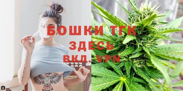 индика Алексеевка