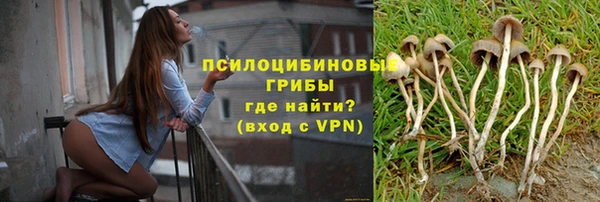 индика Алексеевка