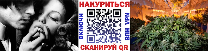цена наркотик  Грайворон  Бошки марихуана семена 